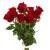 róża czerwona 7 szt 40-50 cm + 80.00zł