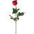 czerwona róża 1 szt + 14.00zł