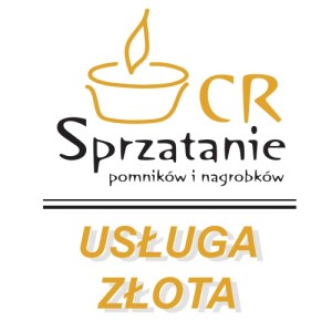 Usługa podstawowa z myciem i woskowaniem